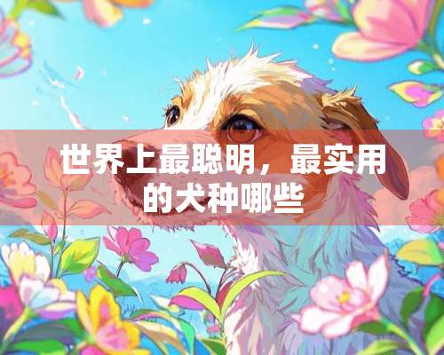 世界上最聪明，最实用的犬种哪些