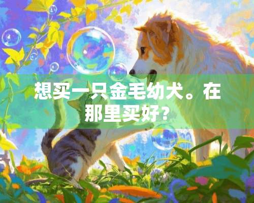 想买一只金毛幼犬。在那里买好？