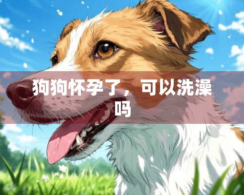 狗狗怀孕了，可以洗澡吗