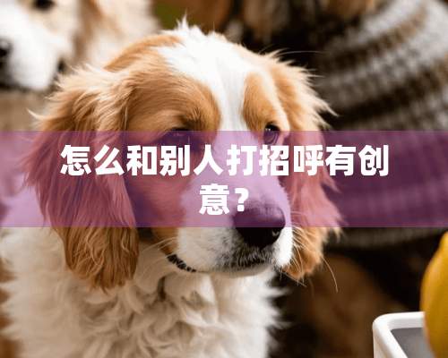 怎么和别人打招呼有创意？