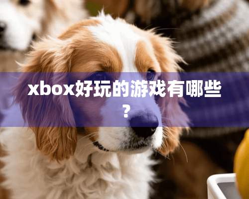 xbox好玩的游戏有哪些？