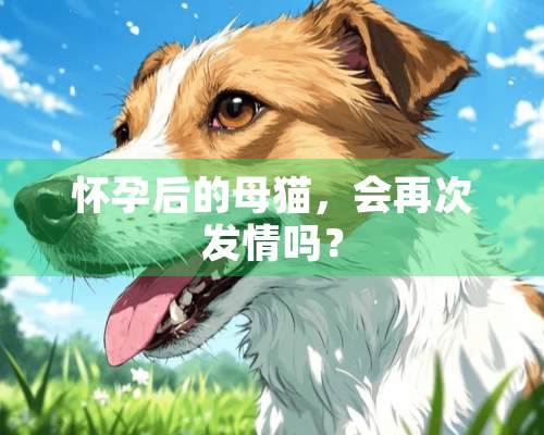 怀孕后的母猫，会再次**吗？