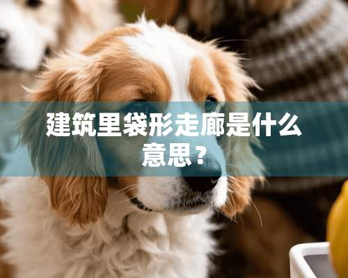 建筑里袋形走廊是什么意思？