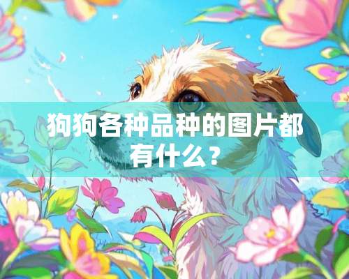 狗狗各种品种的图片都有什么？