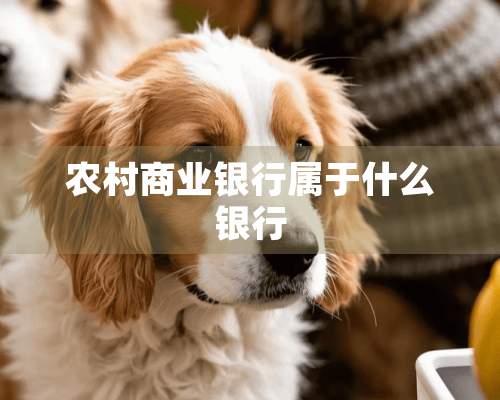 农村商业银行属于什么银行