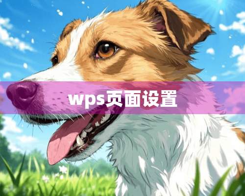 wps页面设置