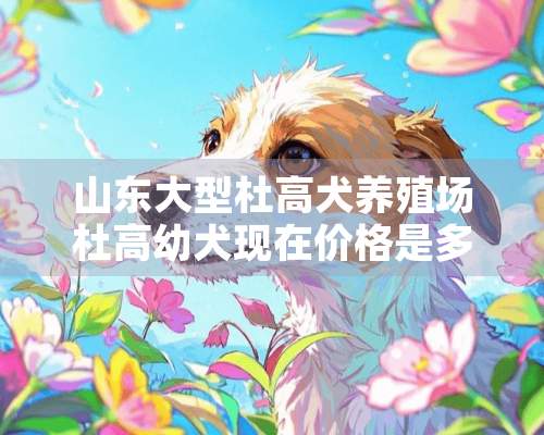 山东大型杜高犬养殖场杜高幼犬现在价格是多少