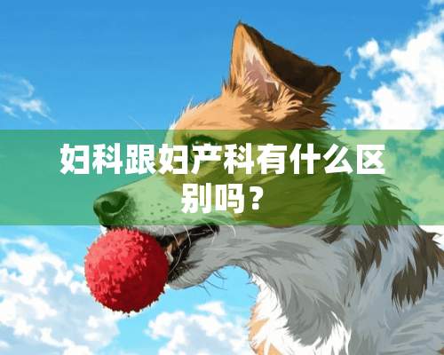 妇科跟妇产科有什么区别吗？