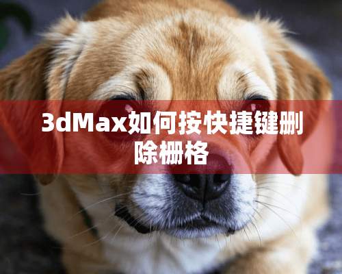 3dMax如何按快捷键删除栅格