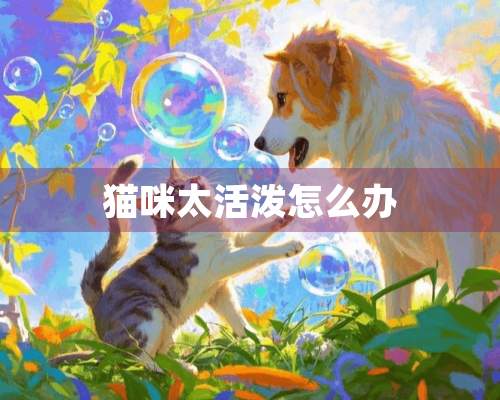 猫咪太活泼怎么办