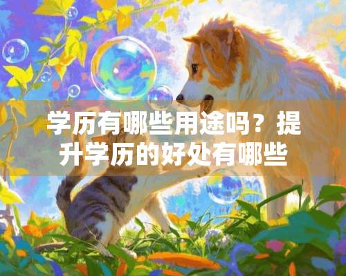 学历有哪些用途吗？提升学历的好处有哪些