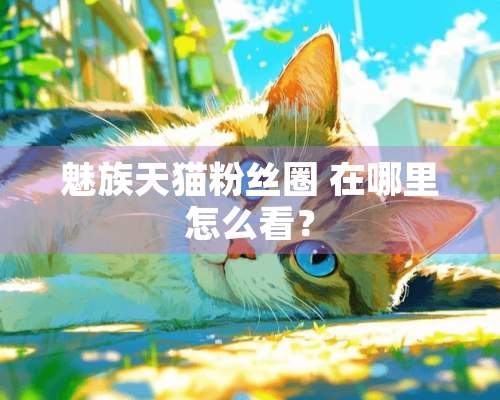 魅族天猫粉丝圈 在哪里怎么看？