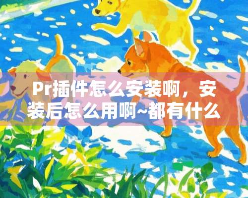 Pr插件怎么安装啊，安装后怎么用啊~都有什么格式的啊？跪求高手~