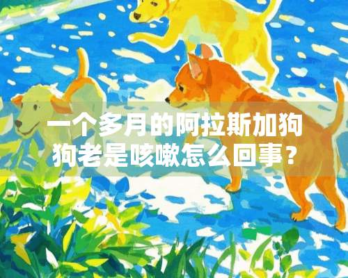 一个多月的阿拉斯加狗狗老是咳嗽怎么回事？