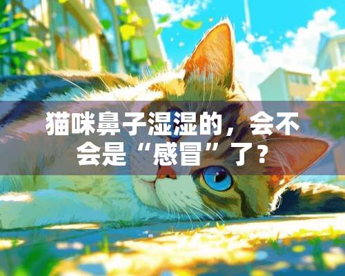 猫咪鼻子湿湿的，会不会是“感冒”了？