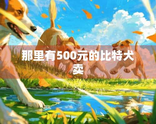 那里有500元的比特犬卖