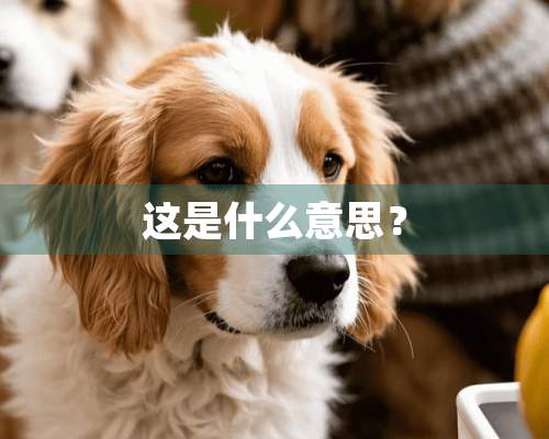 这是什么意思？