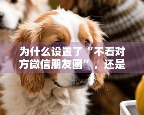 为什么设置了“不看对方微信朋友圈”，还是能看到？