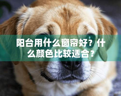 阳台用什么窗帘好？什么颜色比较适合？