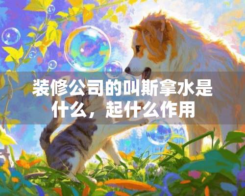 装修公司的叫斯拿水是什么，起什么作用