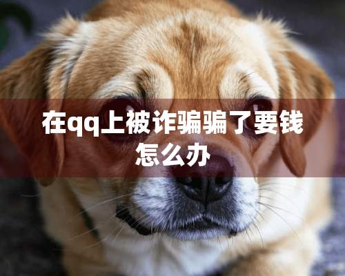 在qq上被**骗了要钱怎么办