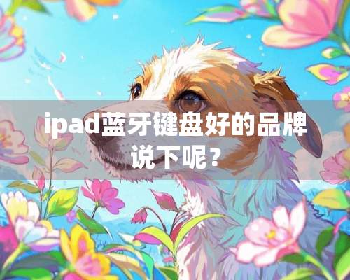 ipad蓝牙键盘好的品牌说下呢？