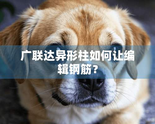 广联达异形柱如何让编辑钢筋？