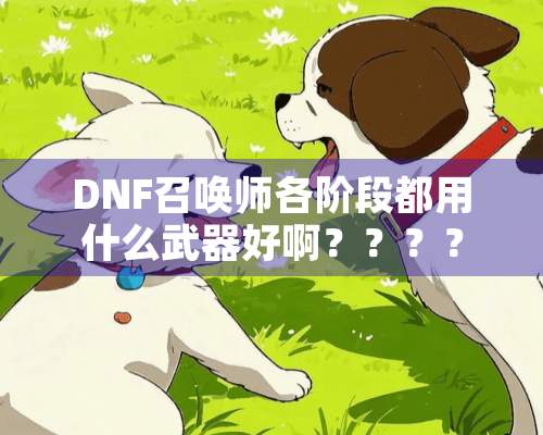 DNF召唤师各阶段都用什么**好啊？？？？