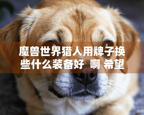 魔兽世界猎人用牌子换些什么装备好  啊 希望详细些 能说出名字最好啊