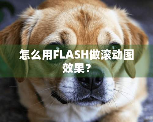 怎么用FLASH做滚动图效果？