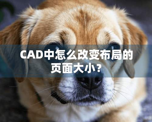 CAD中怎么改变布局的页面大小？