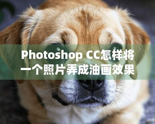 Photoshop CC怎样将一个照片弄成油画效果