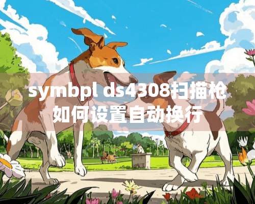 symbpl ds4308扫描*如何设置自动换行