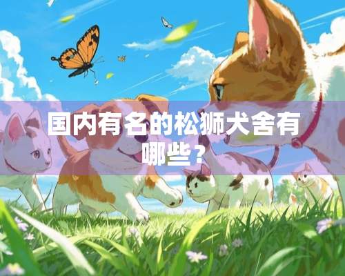 国内有名的松狮犬舍有哪些？