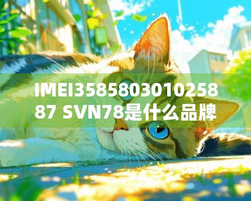 IMEI358580301025887 SVN78是什么品牌机型