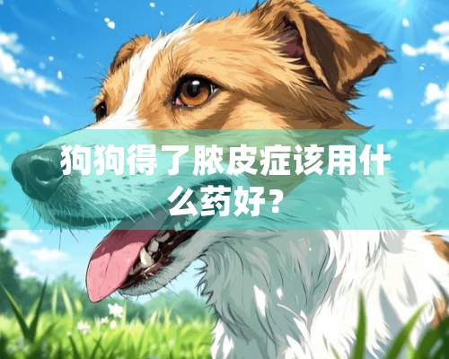 狗狗得了脓皮症该用什么药好？