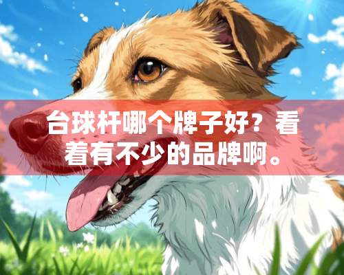 台球杆哪个牌子好？看着有不少的品牌啊。