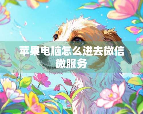 苹果电脑怎么进去微信微服务