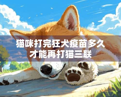 猫咪打完狂犬**多久才能再打猫三联