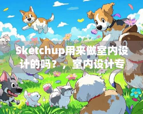 Sketchup用来做室内设计的吗？，室内设计专用大不大