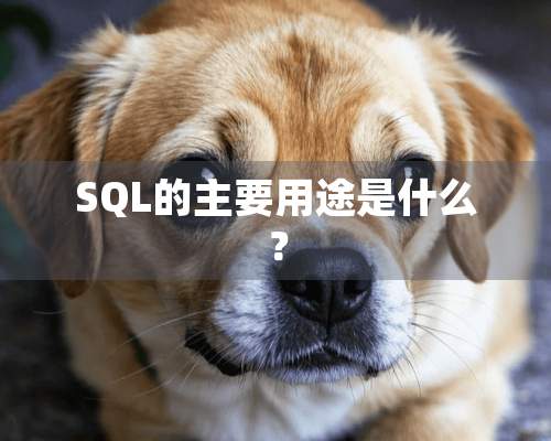 SQL的主要用途是什么？