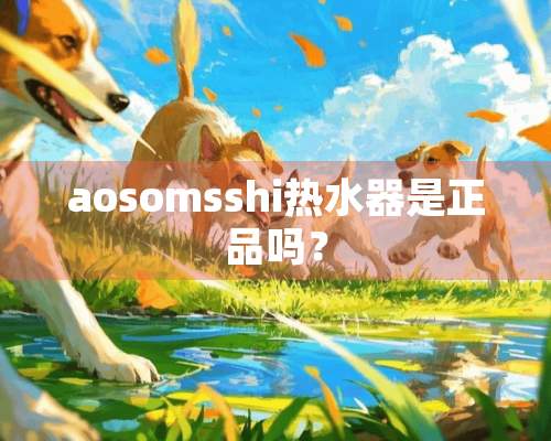 aosomsshi热水器是正品吗？