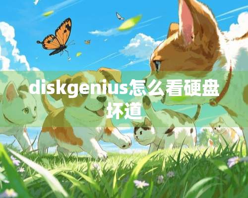 diskgenius怎么看硬盘坏道