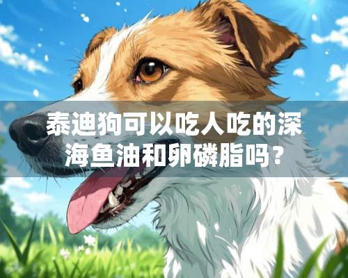 泰迪狗可以吃人吃的深海鱼油和卵磷脂吗？