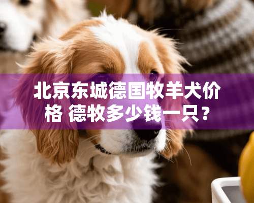 北京东城德国牧羊犬价格 德牧多少钱一只？