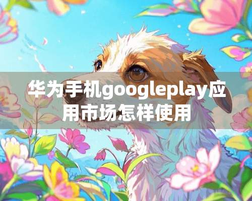 华为手机googleplay应用市场怎样使用