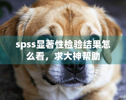 spss显著性检验结果怎么看，求大神帮助