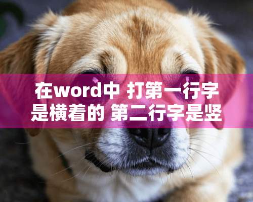 在word中 打第一行字是横着的 第二行字是竖着的 怎么设置