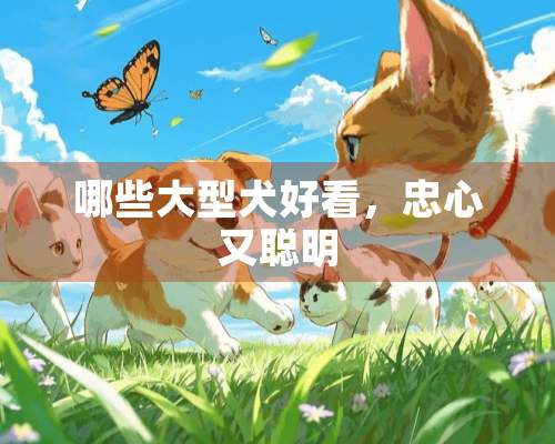 哪些大型犬好看，忠心又聪明