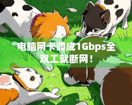 电脑网卡调成1Gbps全双工就断网！